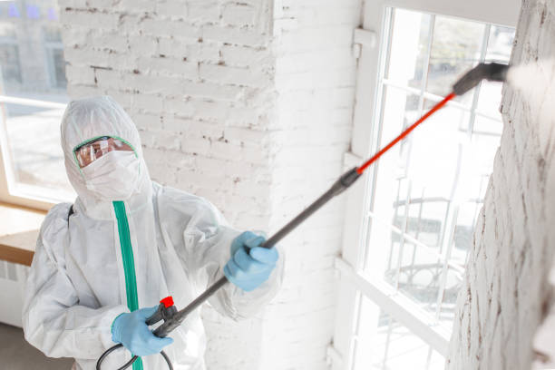 Best Emergency Mold Remediation  in USA